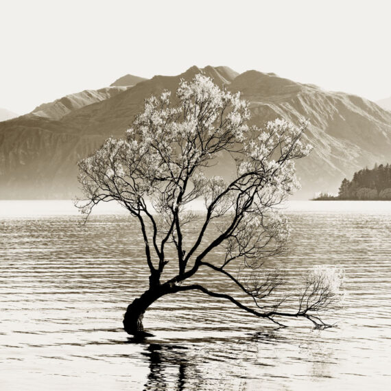 Stuart Redler - Wanaka