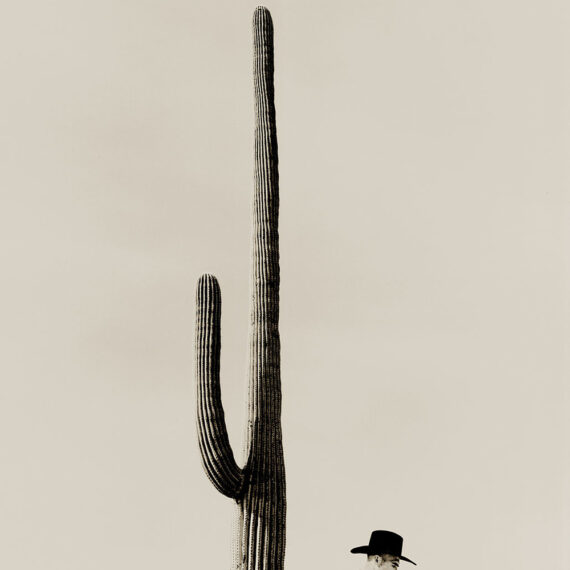 Stuart Redler - Cowboy