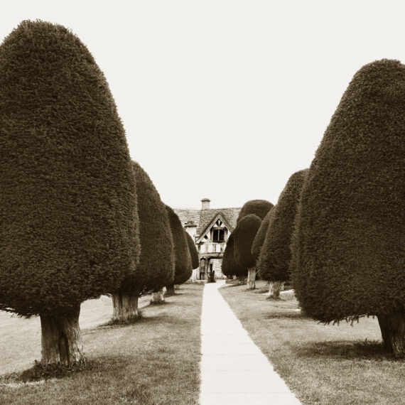 Stuart Redler - Yew 1