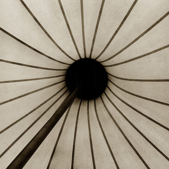 Stuart Redler - Flower Tent