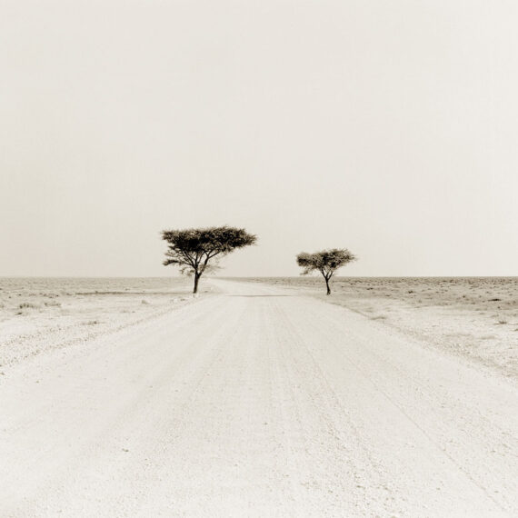 Stuart Redler - Etosha