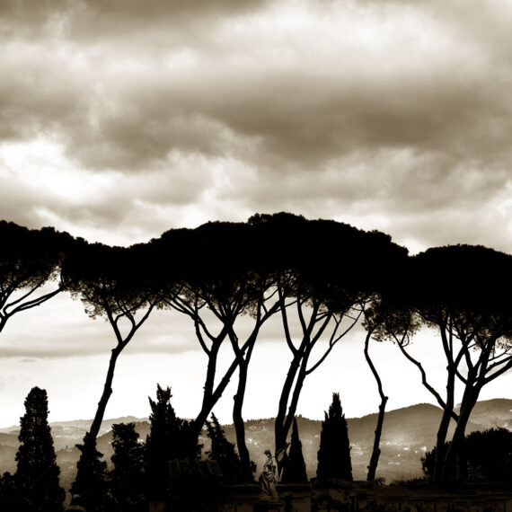 Stuart Redler - Basilica San Miniato al Monte