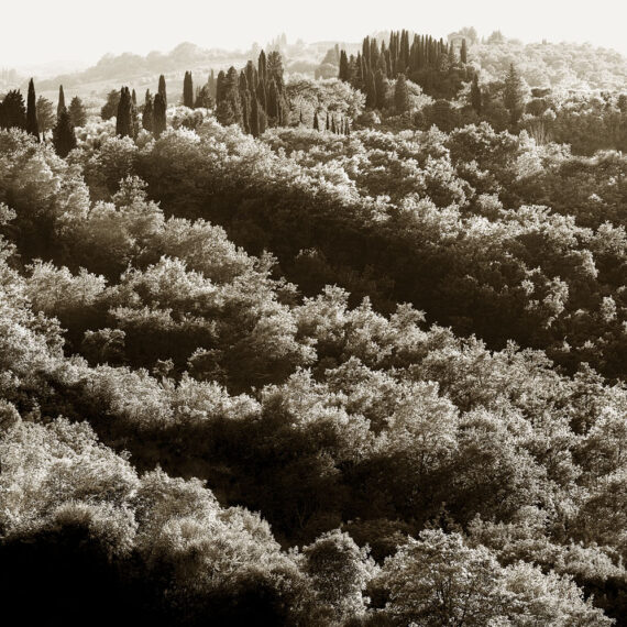 Stuart Redler - Crete Senesi