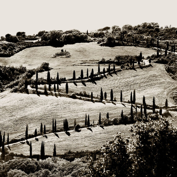 Stuart Redler - Val D'Orcia