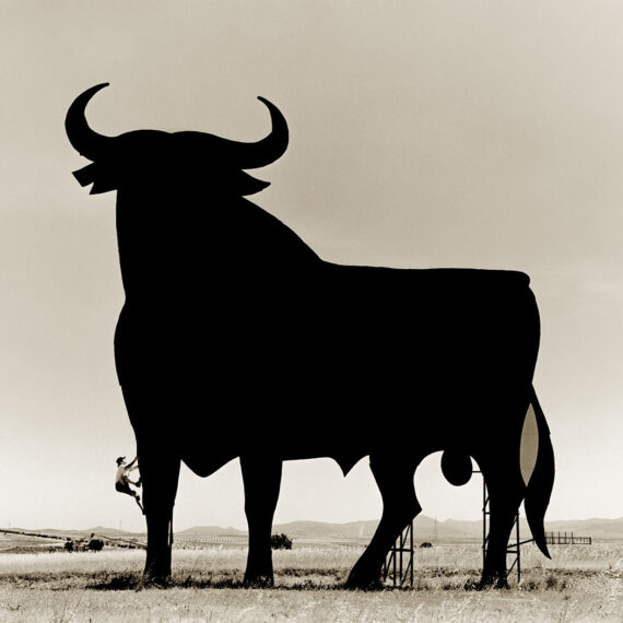 Stuart Redler - La Mancha Bull