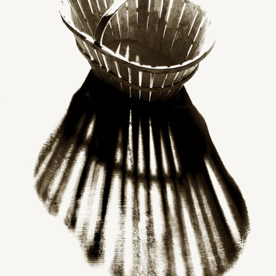 Stuart Redler - Vegetable Basket