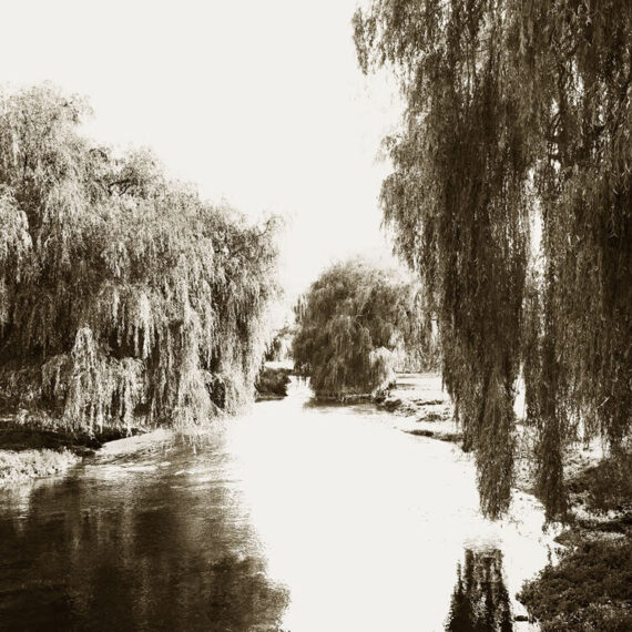 Stuart Redler - Great Stour