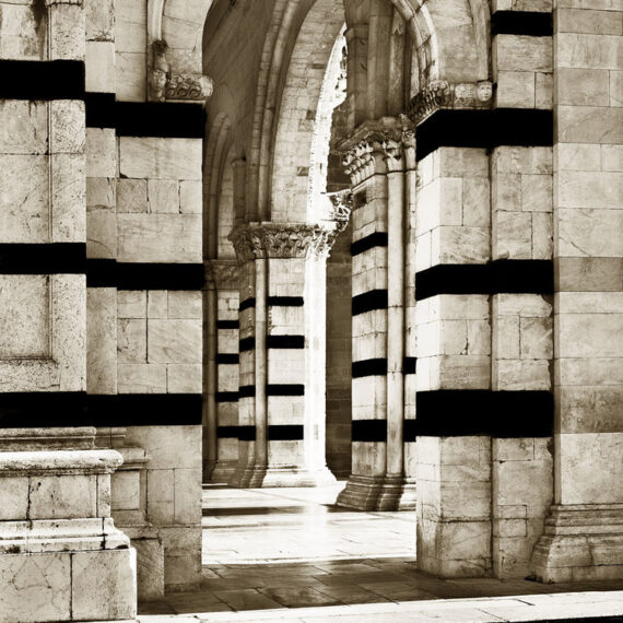 Stuart Redler - Cattedrale di San Martino