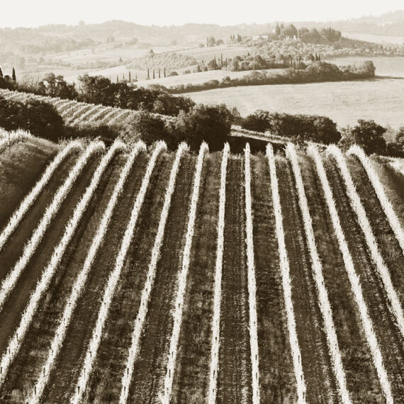 Stuart Redler - Castellina in Chianti