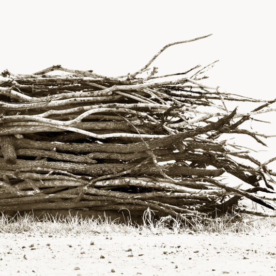 Stuart Redler - Woodpile