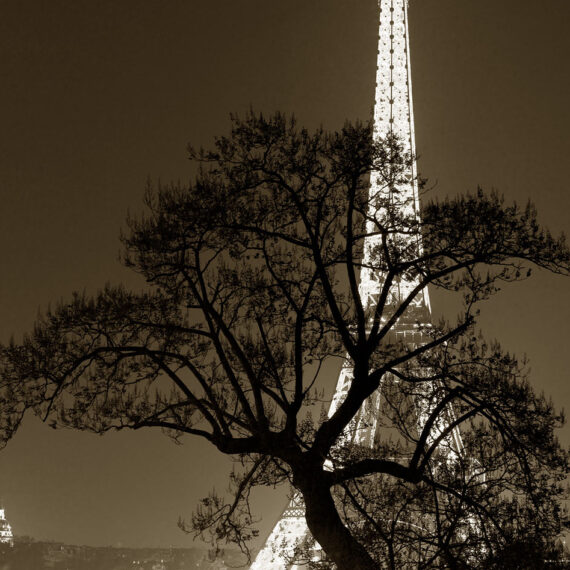 Stuart Redler - Eiffel Tower 4