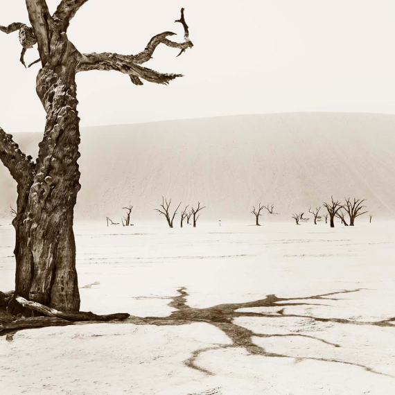 Deadvlei-1