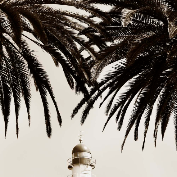 Down Periscope