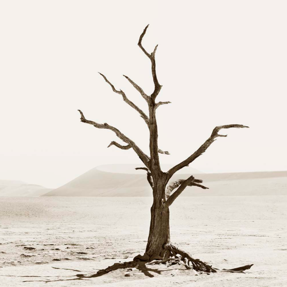 Deadvlei 2