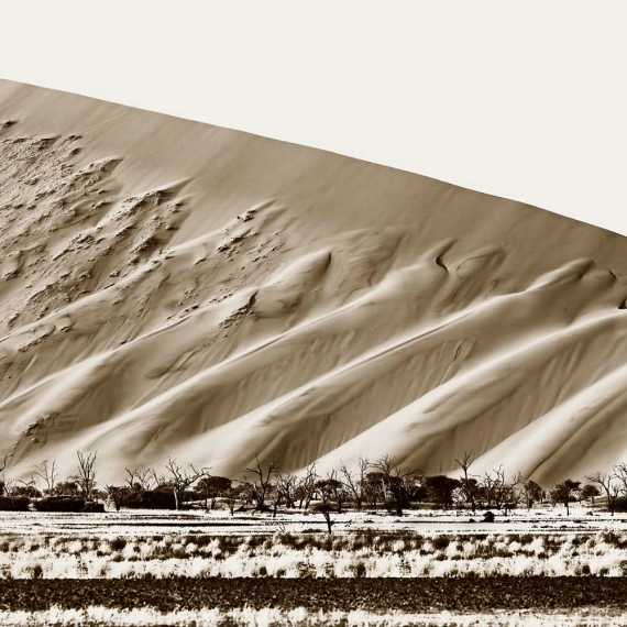 Sossusvlei 3