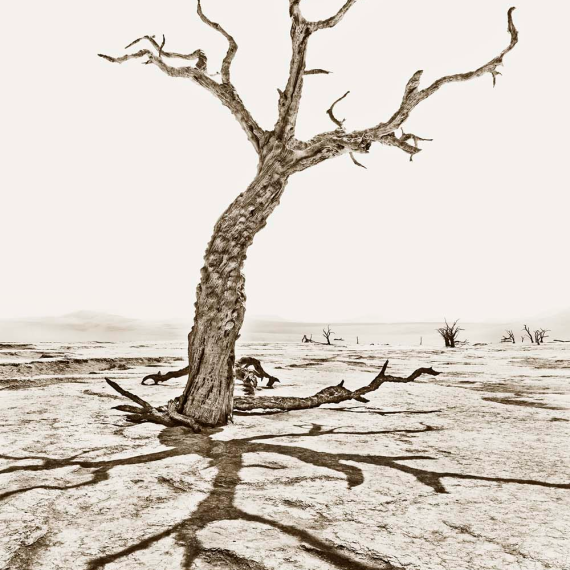 Deadvlei 4