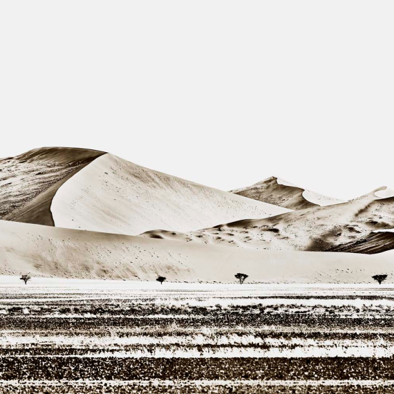 Sossusvlei 5